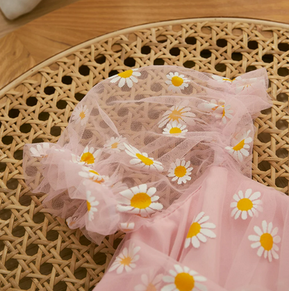 The Elise - Baby Girl Princess Mesh Chiffon Dress