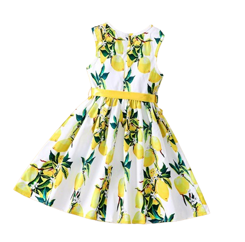 The Daphne - Baby Girl Romantic Yellow Floral Countryside Vacation Style Bow & Tie Dress