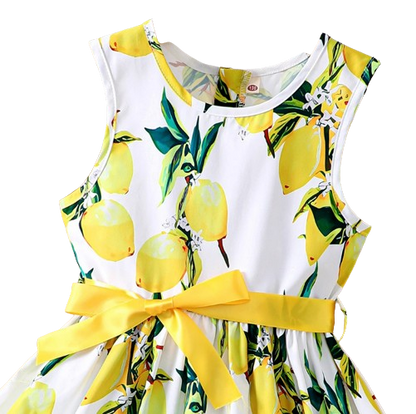 The Daphne - Baby Girl Romantic Yellow Floral Countryside Vacation Style Bow & Tie Dress