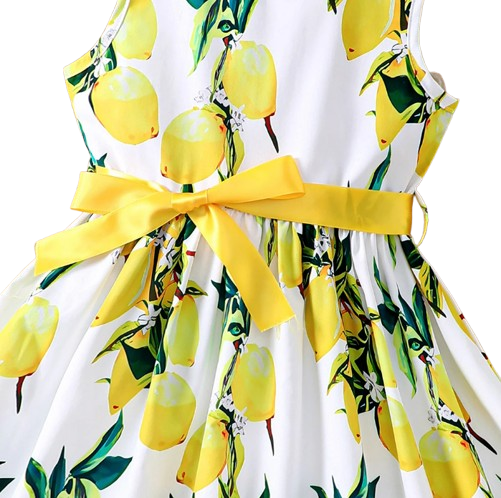 The Daphne - Baby Girl Romantic Yellow Floral Countryside Vacation Style Bow & Tie Dress