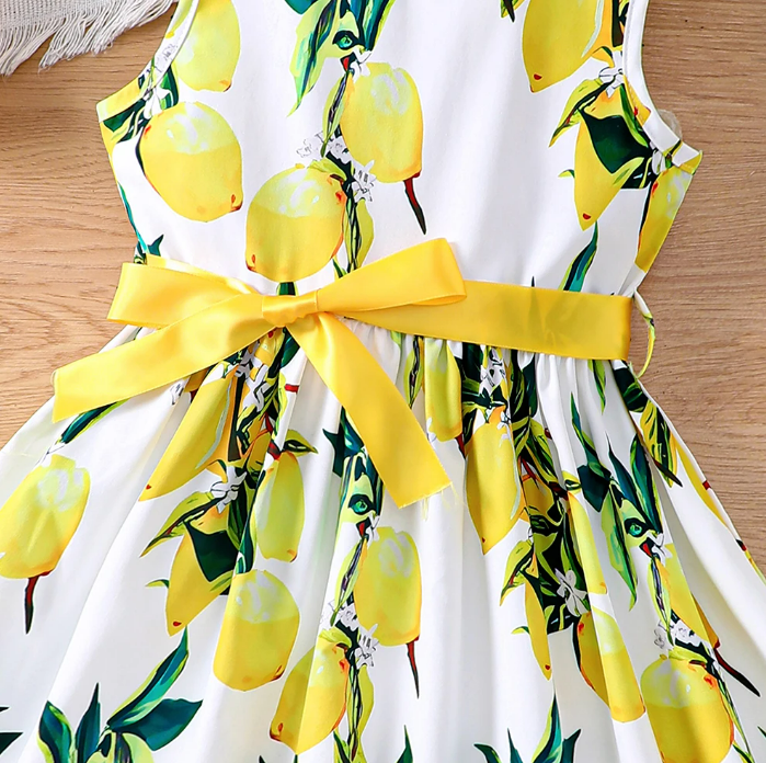 The Daphne - Baby Girl Romantic Yellow Floral Countryside Vacation Style Bow & Tie Dress