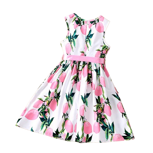 The Daphne - Baby Girl Romantic Pink Floral Countryside Vacation Style Bow & Tie Dress