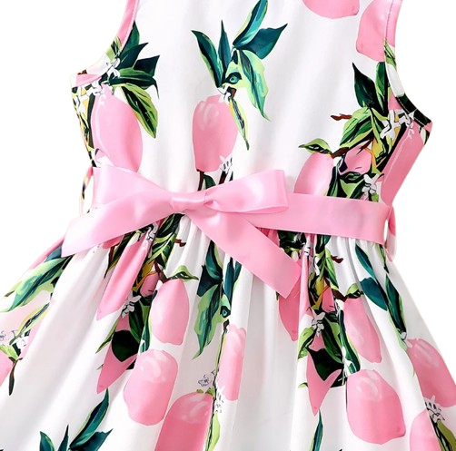 The Daphne - Baby Girl Romantic Pink Floral Countryside Vacation Style Bow & Tie Dress