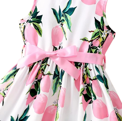 The Daphne - Baby Girl Romantic Pink Floral Countryside Vacation Style Bow & Tie Dress